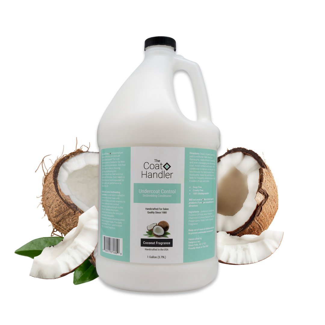 Gallon jug of The Coat Handler Undercoat Control DeShedding Conditioner displayed with freshly cracked coconuts
