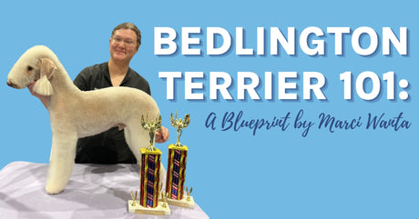 Bedlington Terrier 101:  A Blueprint by Marci Wanta