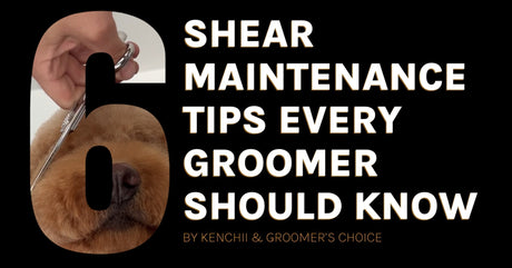6 Shear Maintenance Tips Every Groomer Should Know -  Powered by Kenchii and Groomer's Choice