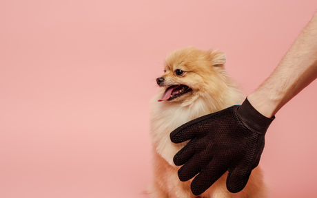 Bite Proof Gloves