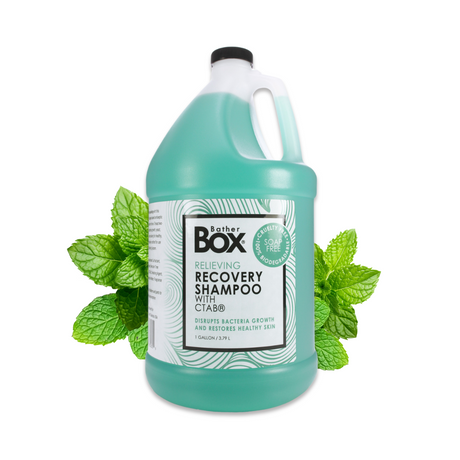 Gallon jug of BatherBox® Relieving Recovery Shampoo surrounded by spearmint leaves