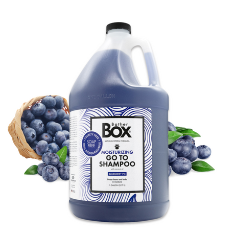Gallon jug of BatherBox® Go To Shampoo displayed with fresh blueberries rolling out of a wooden basket