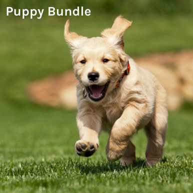 Puppy Bundle