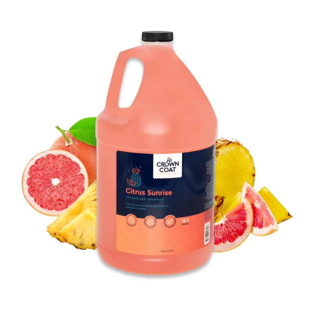 Gallon jug of Crown Coat Citrus Sunrise Detangling Shampoo surrounded by slices of grapefruit and pineapple