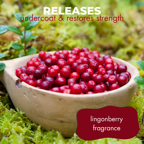 Wooden bowl filled with fresh lingonberries on a mossy surface accompanied by the text: 'releases undercoat and restores strength, lingonberry fragrance'