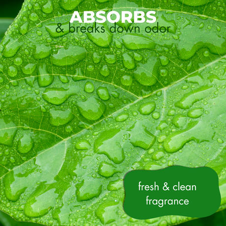 Close-up of green leaves with water droplets accompanied by the text: 'absorbs and breaks down odor, fresh & clean fragrance'