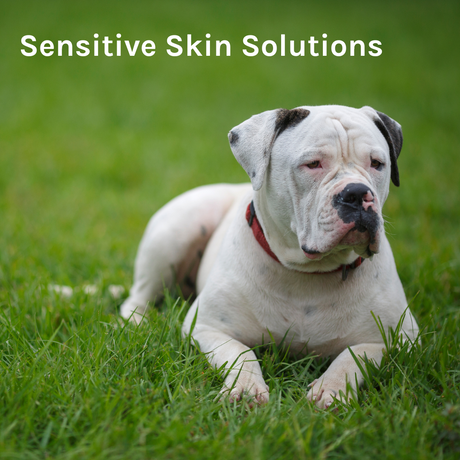 Sensitive Skin Solutions Bundle