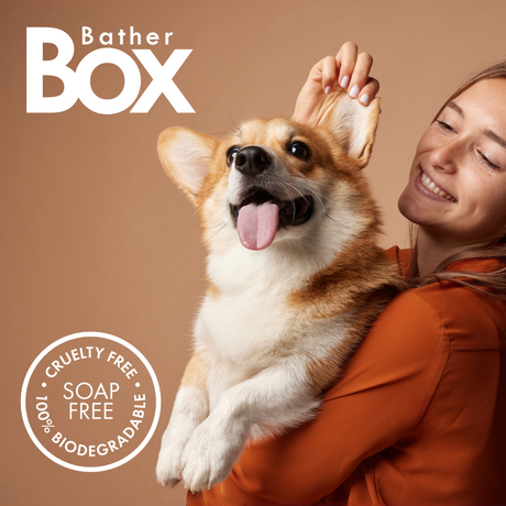 Happy corgi being held by a smiling woman, featuring BatherBox® branding and a badge highlighting cruelty-free, soap-free and 100% biodegradable benefits