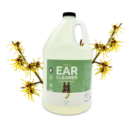 Gallon jug of Bark2Basics Dog Ear Cleaner surrounded by witch hazel twigs