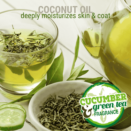 A glass of green tea with a pitcher, tea leaves in a bowl and cucumber rounds arranged on a white table, accompanied by the text: 'coconut oil deeply moisturizes skin and coat, cucumber & green tea fragrance'