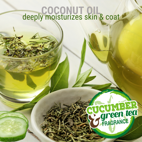 A glass of green tea with a pitcher, tea leaves in a bowl and cucumber rounds arranged on a white table, accompanied by the text: 'coconut oil deeply moisturizes skin and coat, cucumber & green tea fragrance'