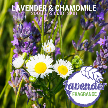 Chamomile and lavender flowers in a vibrant green field accompanied by the text: 'lavender and chamomile soothe and calm skin, lavender fragrance'