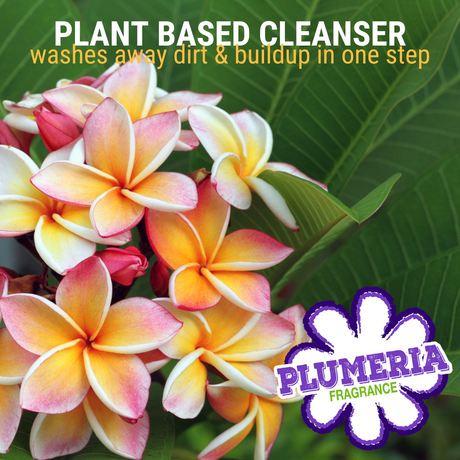 Close-up of blooming plumeria flowers and lush green leaves accompanied by the text: 'plant based cleanser washes away dirt and buildup in one step, plumeria fragrance'