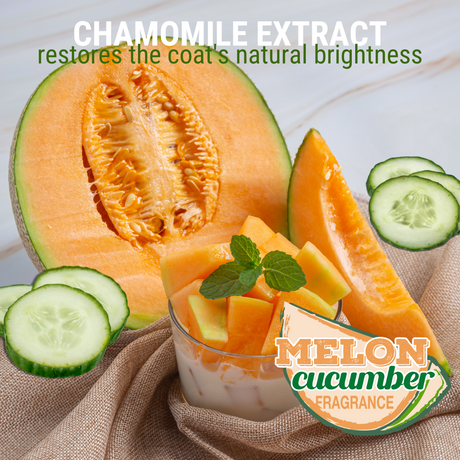 Fresh cantaloupe slices and cucumber rounds accompanied by the text: 'chamomile extract restores the coat's natural brightness, melon cucumber fragrance'