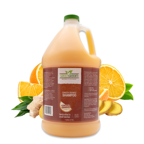 Gallon jug of Green Groom Ginger Orange Shampoo displayed with freshly sliced oranges and ginger root