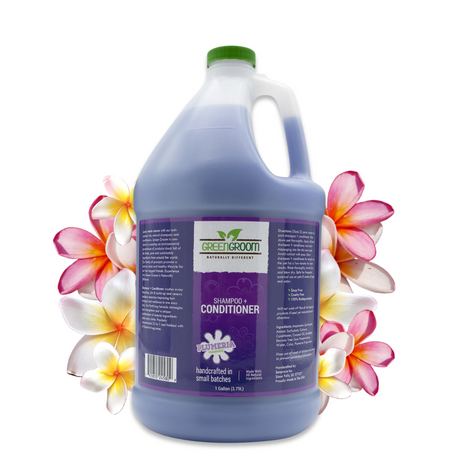 Gallon jug of Green Groom Shampoo + Conditioner displayed with blooming plumeria flowers