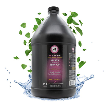 Gallon jug of Petology Keratin Fortifying Shampoo, emerging from a splash of clear water and surrounded by green leaves