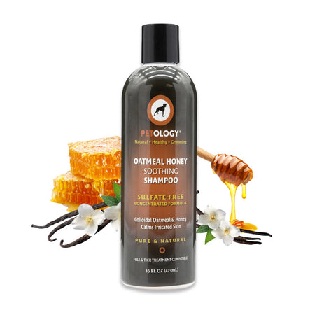 16 oz bottle of Petology Oatmeal Honey Soothing Shampoo, displayed with honeycomb, dripping honey, vanilla pods and white vanilla orchid flowers