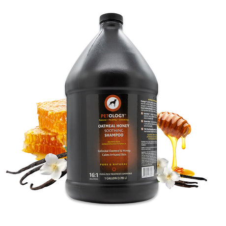 Gallon jug of Petology Oatmeal Honey Soothing Shampoo, displayed with honeycomb, dripping honey, vanilla pods and white vanilla orchid flowers