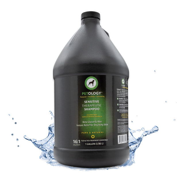 Gallon jug of Petology Sensitive Therapeutic Shampoo, emerging from a splash of clear water