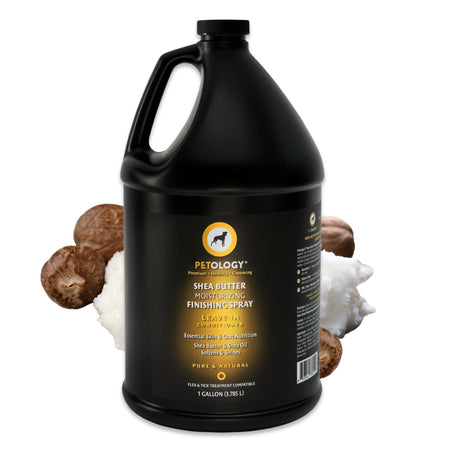 Gallon jug of Petology Shea Butter Moisturizing Finishing Spray, displayed with shea nuts and butter