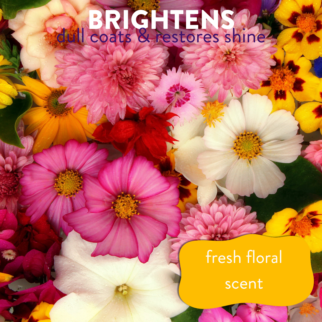 Close-up of an array of blooming flowers, accompanied by the text: 'brightens dull coats and restores shine, fresh floral scent'