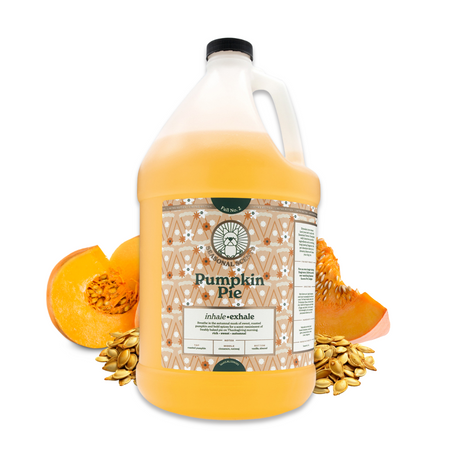 Gallon jug of Seasonal Scents Pumpkin Pie Shampoo, displayed with pieces of pumpkin and pumpkin seeds