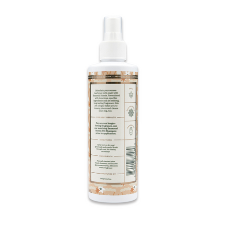 Back view of Seasonal Scents Pumpkin Pie Cologne 8 oz bottle, showcasing product label with ingredients and description