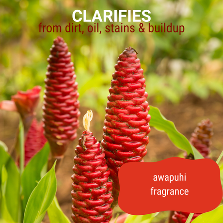 Close-up of blooming awapuhi plants in a field accompanied by the text: 'clarifies from dirt, oil, stains and buildup, awapuhi fragrance'