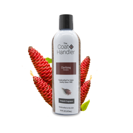 16 oz bottle of The Coat Handler Clarifying Shampoo displayed with vibrant awapuhi bracts