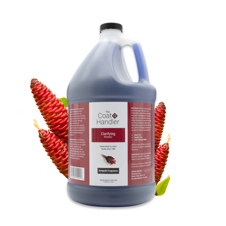 Gallon jug of The Coat Handler Clarifying Shampoo displayed with vibrant awapuhi bracts
