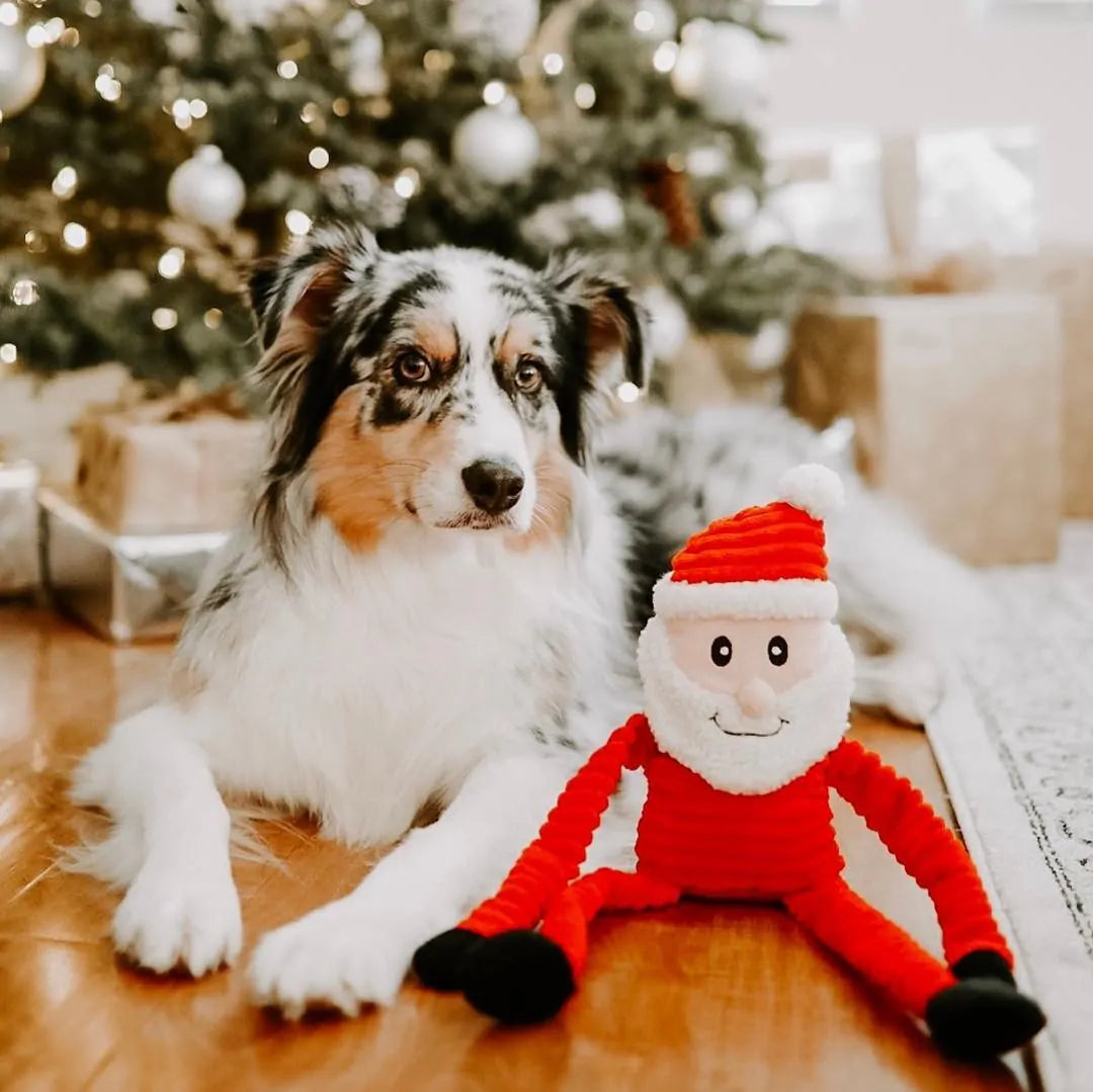 Dog with Small ZippyPaws Santa Holiday Crinkle Toy in front of a Christmas tree and presents