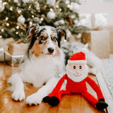 Dog with Small ZippyPaws Santa Holiday Crinkle Toy in front of a Christmas tree and presents