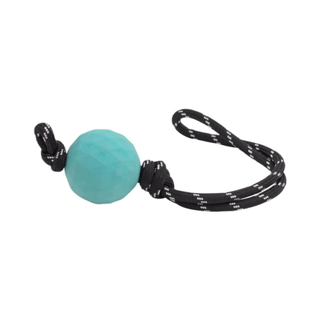 ZippyTuff WaggleBall RopeTugz shown on white background