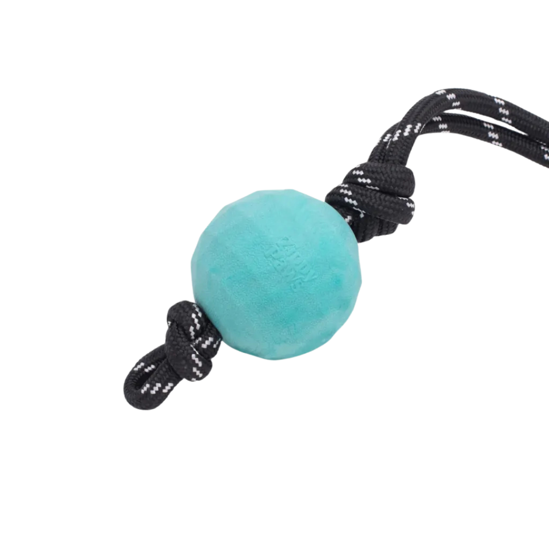 ZippyTuff WaggleBall RopeTugz shown on white background