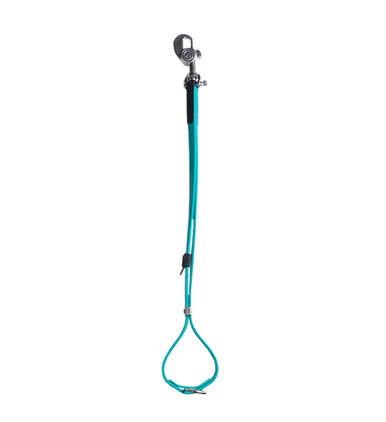 Alpha Grooming AXL Grooming Loop, Teal