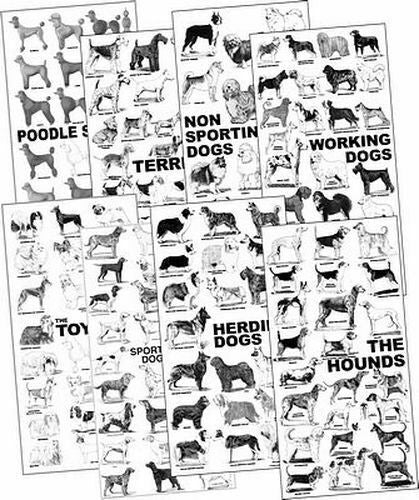 Breed Posters, Set of 9