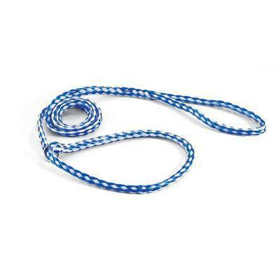 60" Braided Dog Leads Blue & White, 12 Pack