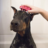 KONG ZoomGroom Rubber Curry Brush for Dogs, Raspberry in Use